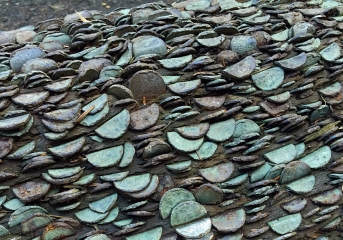 硬币许愿树