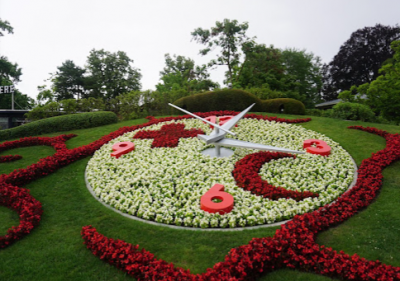 日內瓦花鍾L'Horloge Fleurie