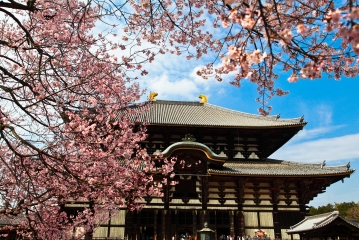 東大寺1
