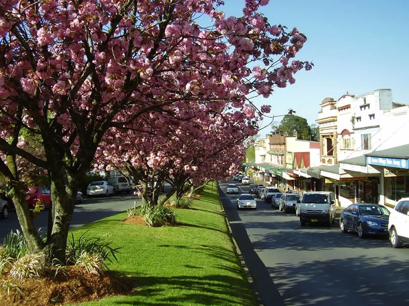 [罗拉小镇]全景照片