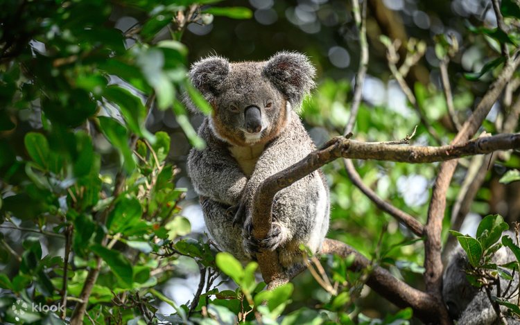 [翎羽谷野生动物园]全景照片