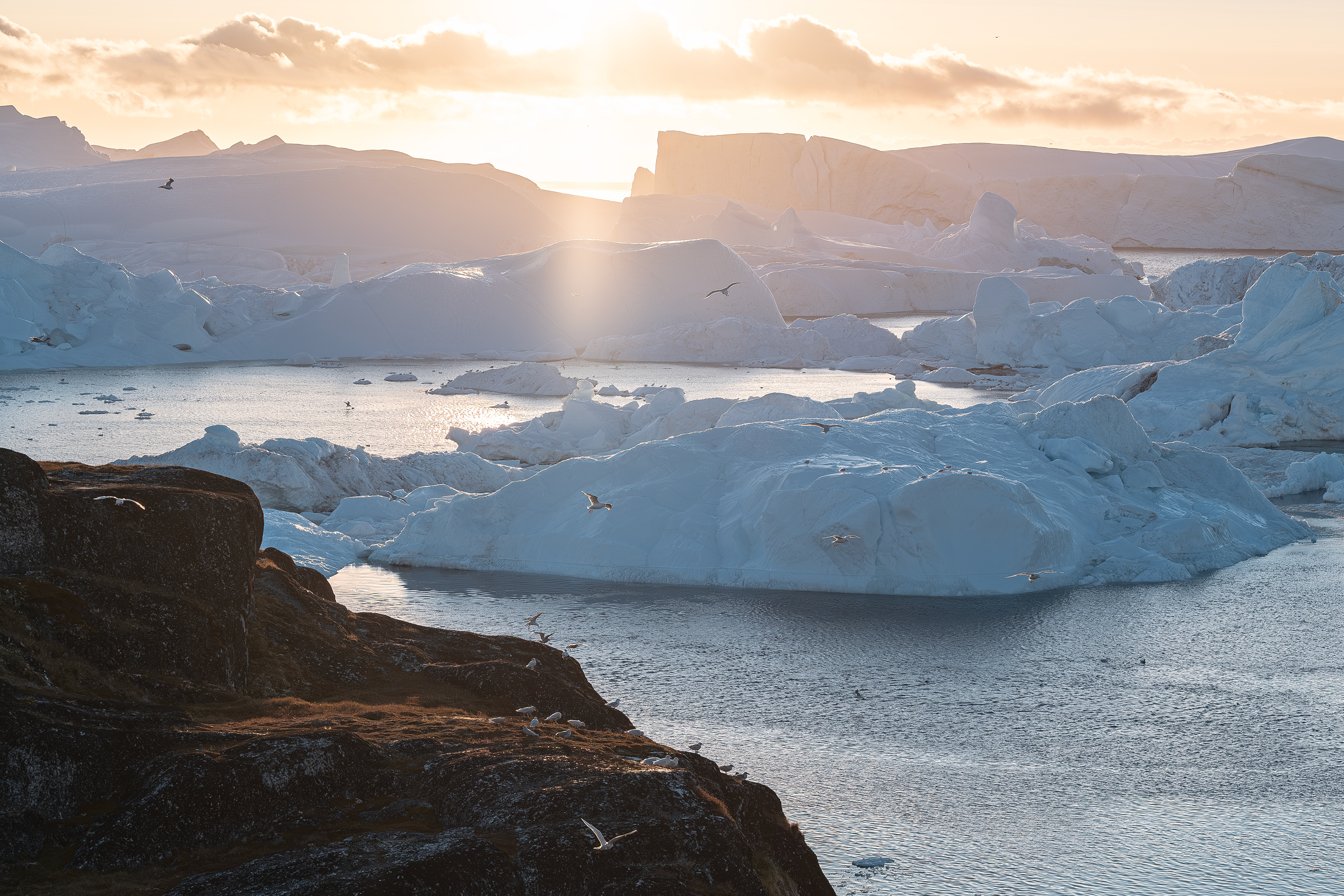 [出海观赏午夜太阳，巨大冰山]全景照片