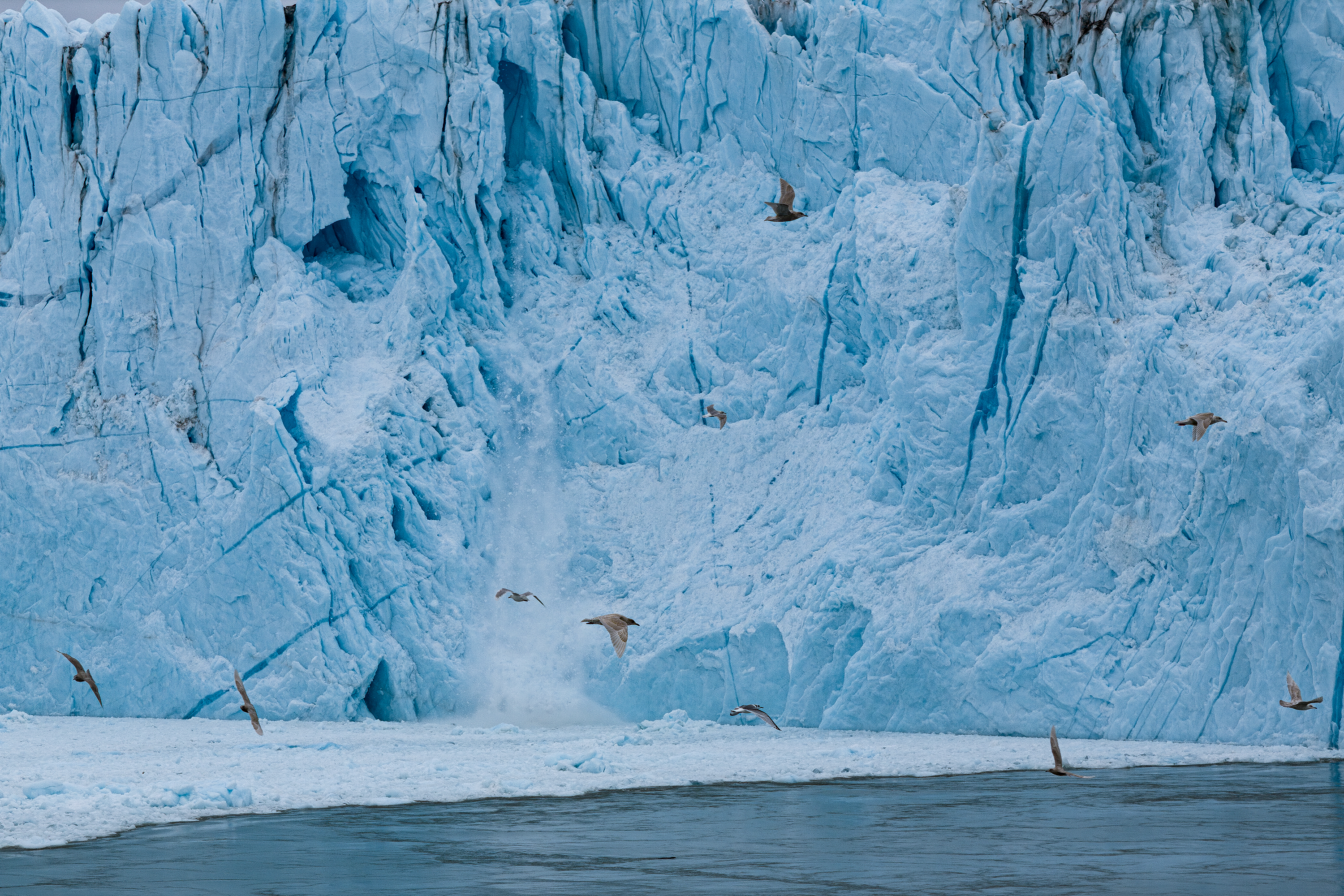 [艾奇冰川 - 观赏冰山崩裂奇观]全景照片