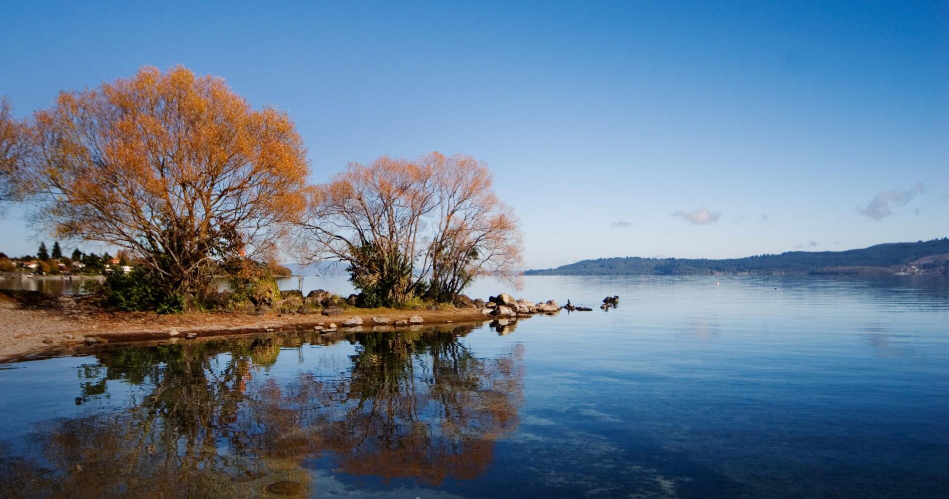 [陶波湖]全景照片