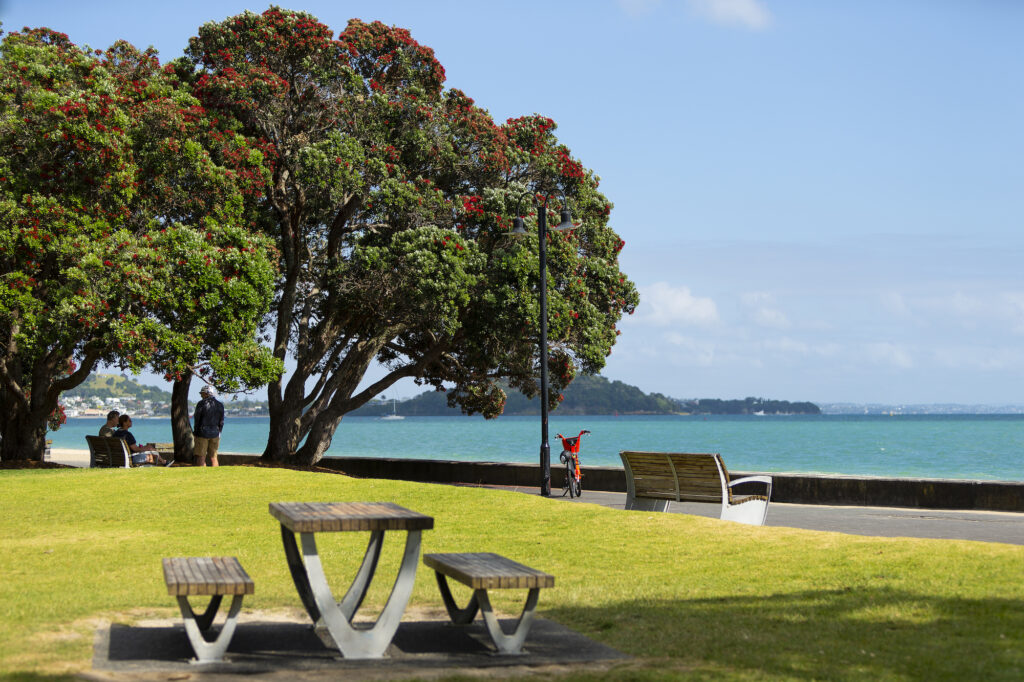[使命湾]全景照片